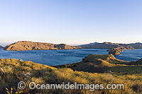 Komodo Island Photo - Michael Patrick O'Neill