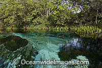 Crystal clear river Brazil Photo - Michael Patrick O'Neill