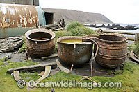 Macquarie Island Base Photo - Inger Vandyke