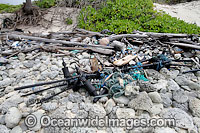 Garbage on beach Photo - Inger Vandyke