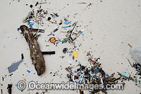 Pollution washed ashore Photo - Inger Vandyke