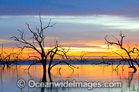 Lake Menindee sunrise Photo - Gary Bell