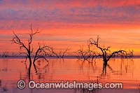 Lake Menindee at sunrise Photo - Gary Bell