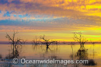 Lake Menindee at sunrise Photo - Gary Bell