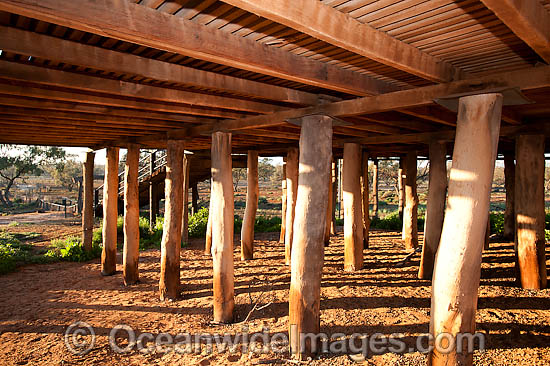 Woolshed Kinchega National Park photo