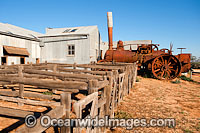 Steam Traction Engine Photo - Gary Bell