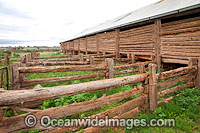 Mungo Woolshed Photo - Gary Bell