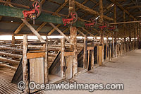 Mungo Woolshed Photo - Gary Bell