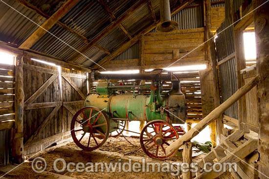 Steam Engine Mungo photo