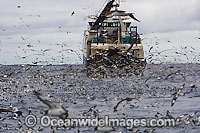 Trawler Fishing Photo - Chris & Monique Fallows