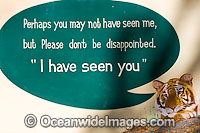 Bengal Tiger tourist sign Photo - Chris and Monique Fallows