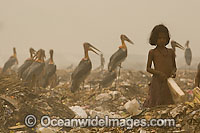 Girl and wildlife at dumpsite Photo - Chris and Monique Fallows