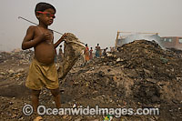 People scavenging at Indian dumpsite Photo - Chris and Monique Fallows