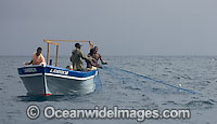 Fisherman haul in gill net Photo - Chris and Monique Fallows