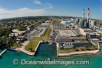 Florida Manatees at power plant outflow Photo - Michael Patrick O'Neill