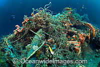 Fishing line garbage pollution Photo - Michael Patrick O'Neill