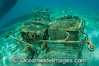 Shopping carts litter bottom of lake Photo - Michael Patrick O'Neill
