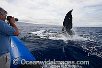 Photographer on Whale watching boat Photo - David Fleetham