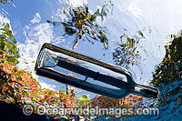 Message in a bottle Photo - David Fleetham