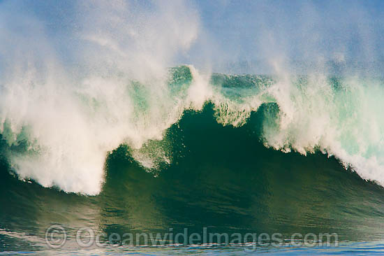 Crashing Wave photo
