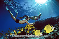 Snorkelers with Butterflyfish Photo - David Fleetham