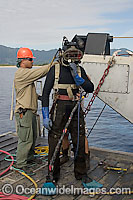 Commercial Diving Photo - David Fleetham