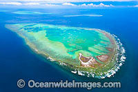 One Tree Island with Wistari Reef Photo - Gary Bell
