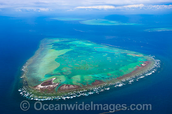 Heron Reef Wistari Reef photo