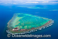 Heron Reef Wistari Reef Photo - Gary Bell