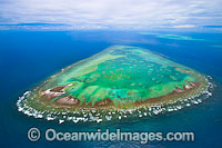 One Tree Island and Heron Reef Photo - Gary Bell