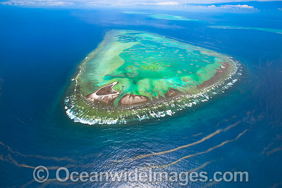 One Tree Island with Wistari Reef photo