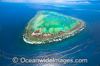 One Tree Island with Wistari Reef Photo - Gary Bell