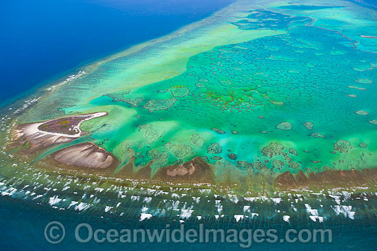 One Tree Island reef lagoon photo