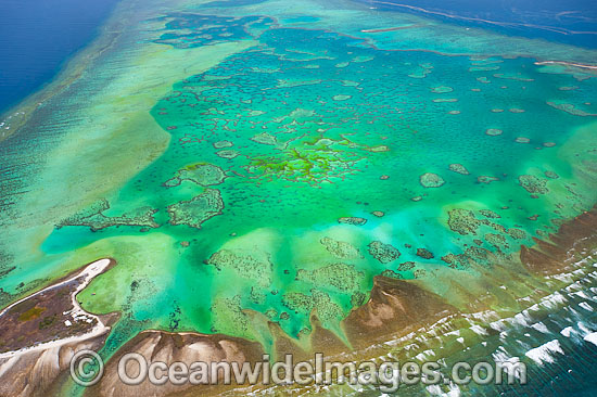 One Tree Island aerial photo