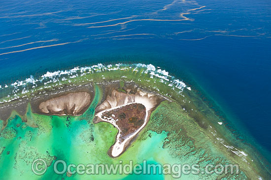 One Tree Island Algal bloom photo