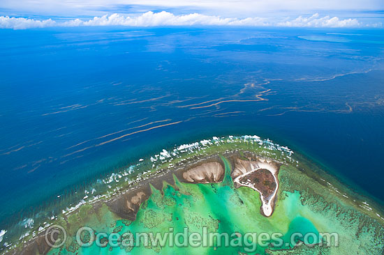 One Tree Island red tide photo