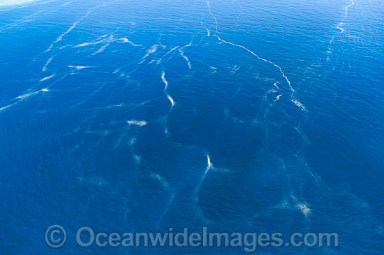 Great Barrier Reef photo