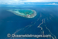 One Tree Island reef Photo - Gary Bell