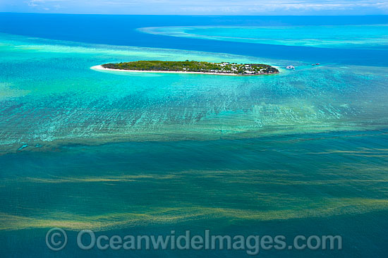 Algal Bloom near Heron Island photo