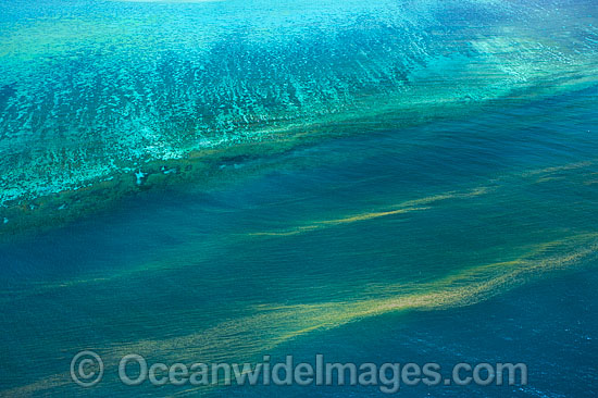 Red Tide close to Heron Island photo