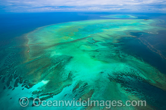 Heron Island and Wistari Reef photo