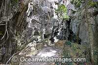 Capricorn Caves Limestone Cavern Photo - Gary Bell
