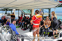 Scuba Divers on Heron Island Dive Boat Photo - Gary Bell
