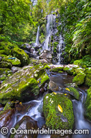Chalan Falls Lamington National Park Photo - Gary Bell