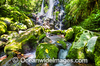 Chalan Falls Lamington National Park Photo - Gary Bell
