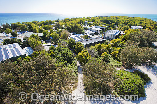 Heron Island Research Station photo