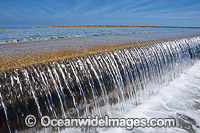 Tidal Wall Heron Island Photo - Gary Bell