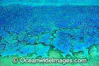 Heron Island and Wistari Reef Photo - Gary Bell