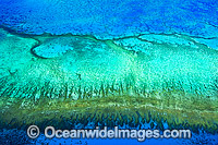Aerial of Heron Island and Wistari Reef Photo - Gary Bell