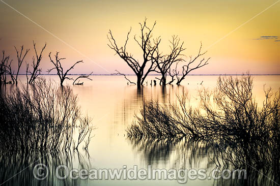 Lake Menindee at sunset photo Lake Menindee at sunset photo